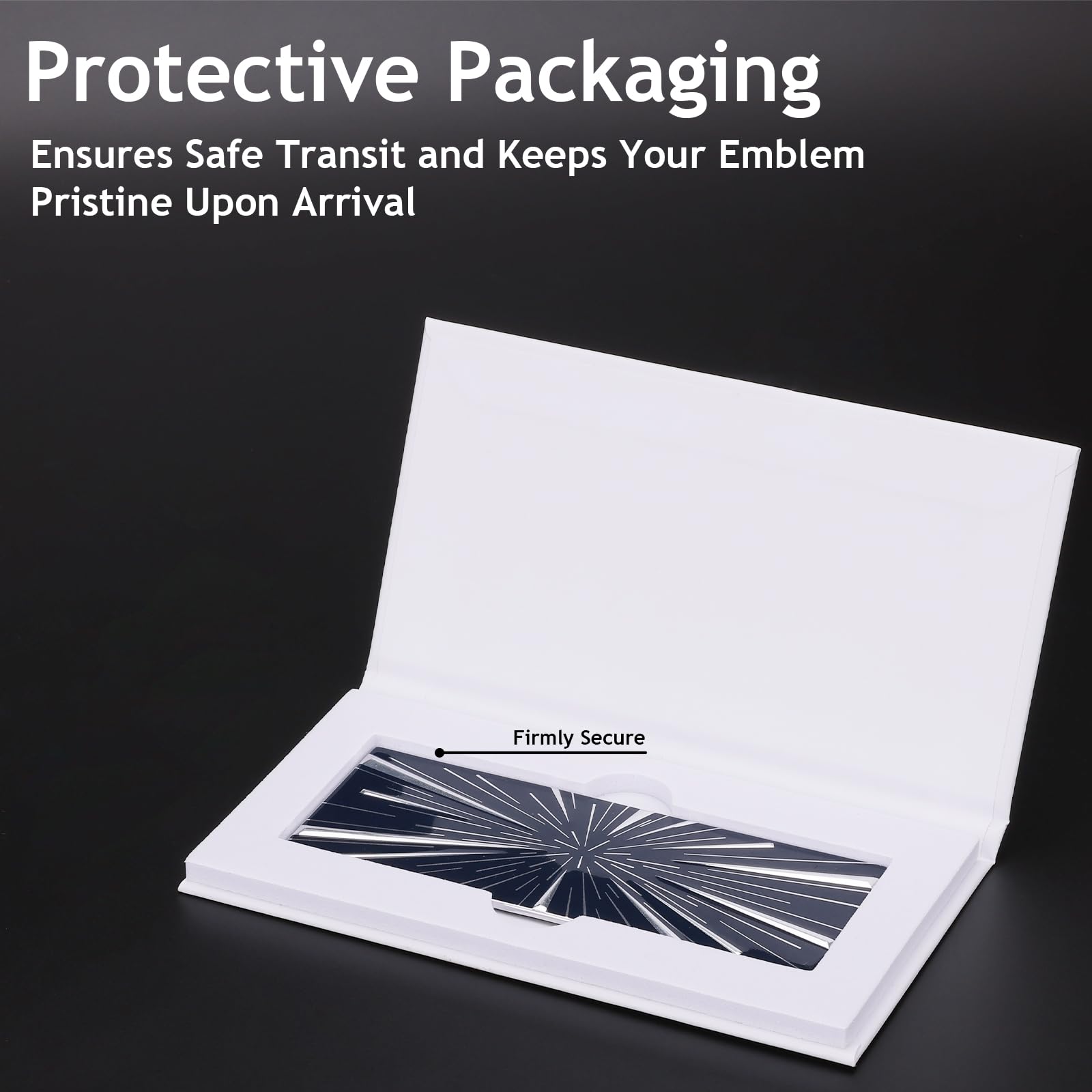 TesNext Tesla Model 3 Performance Ludicrous Edition  Emblem Badge