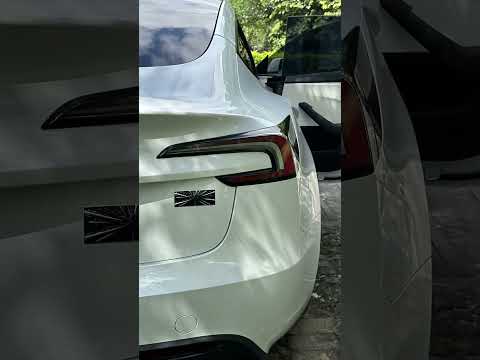 TesNext Tesla Model 3 Performance Ludicrous Edition  Emblem Badge